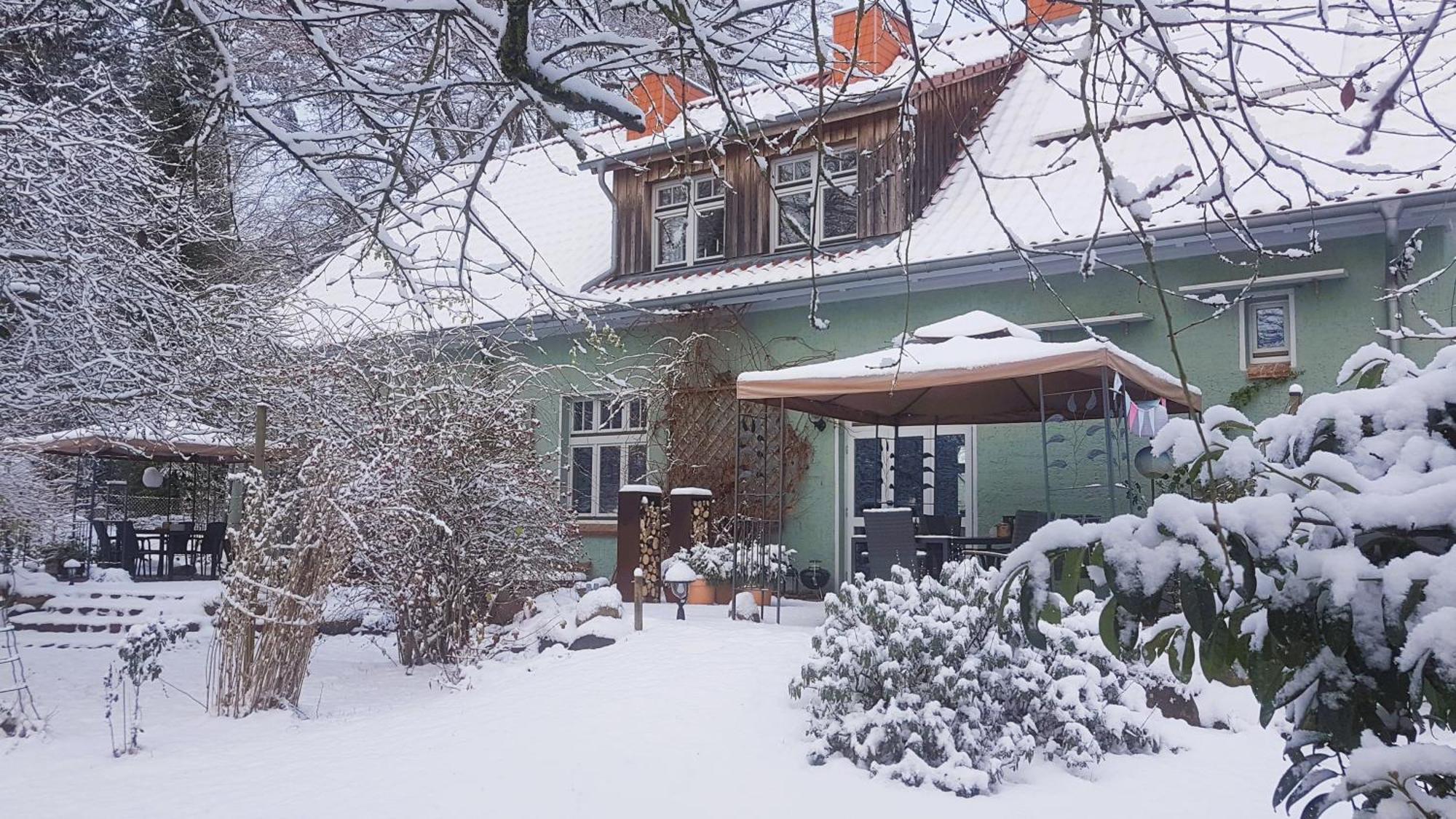 Ferienhaus Salvia Gremersdorf-Buchholz Bagian luar foto