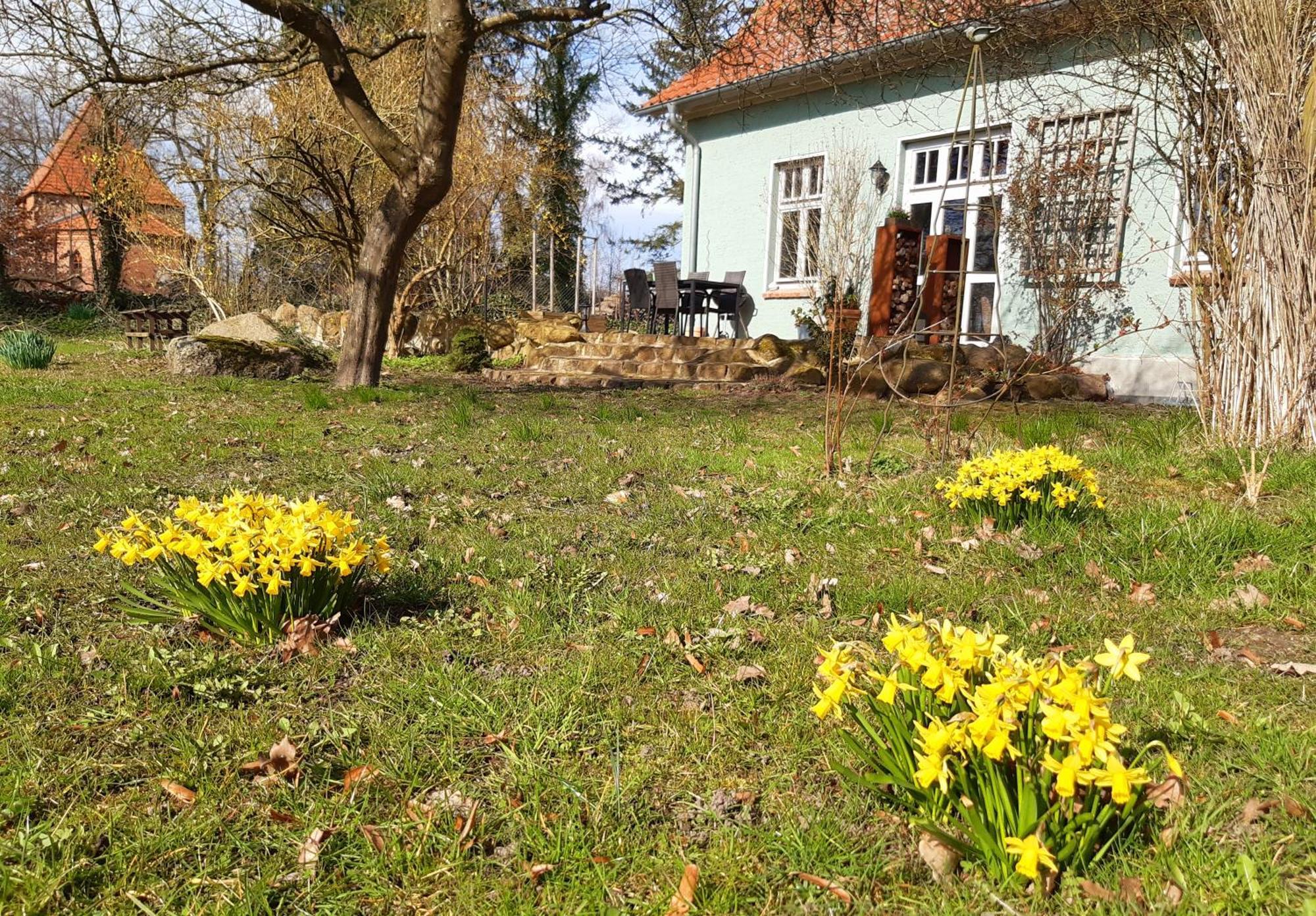Ferienhaus Salvia Gremersdorf-Buchholz Bagian luar foto
